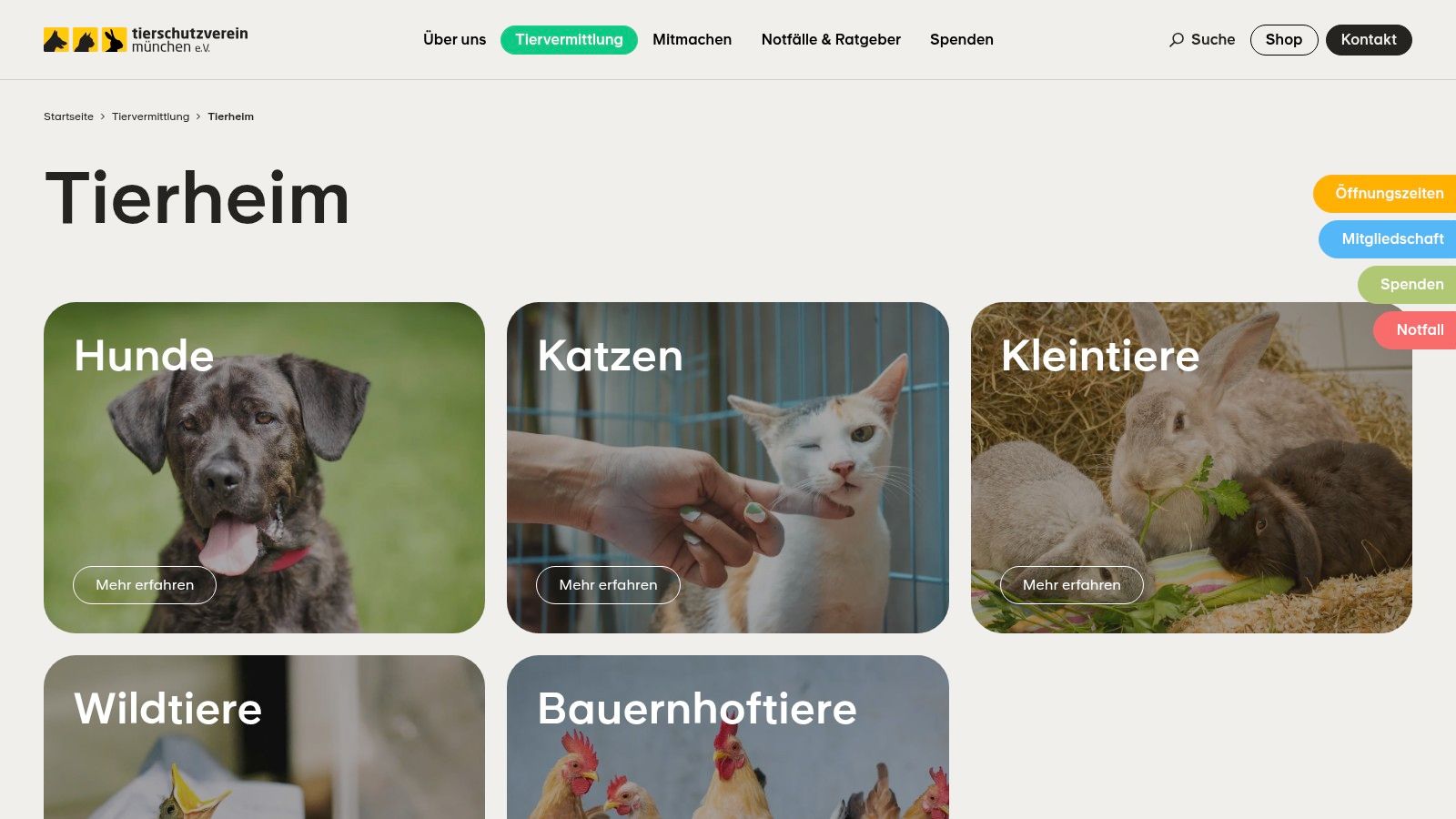 Tierheim München (Tierschutzverein München gGmbH)
