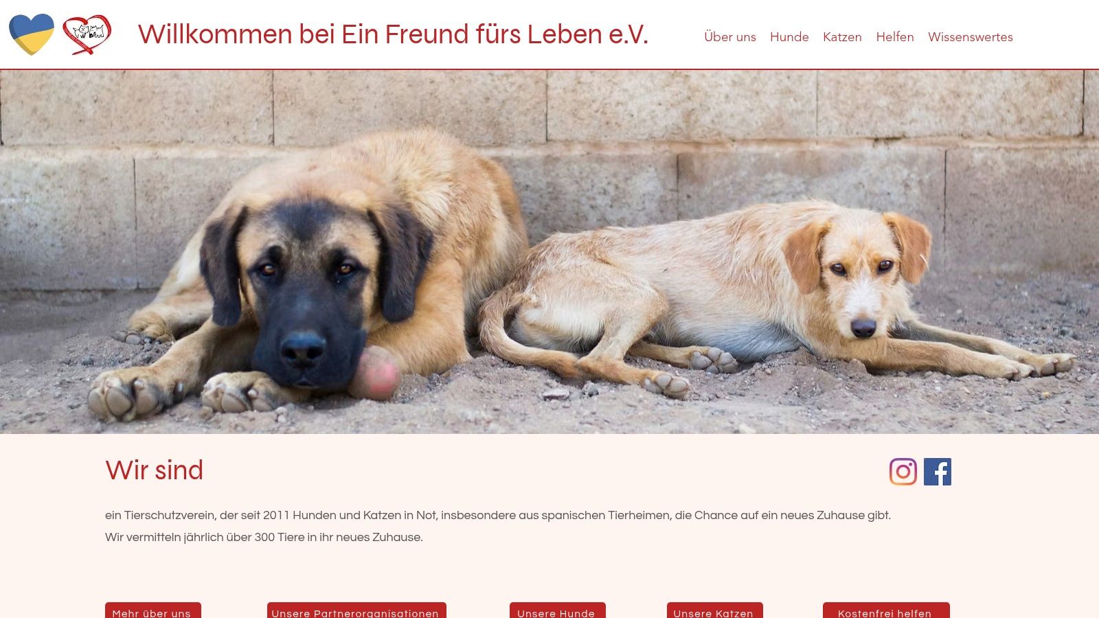 Ein Freund fürs Leben e.V.
