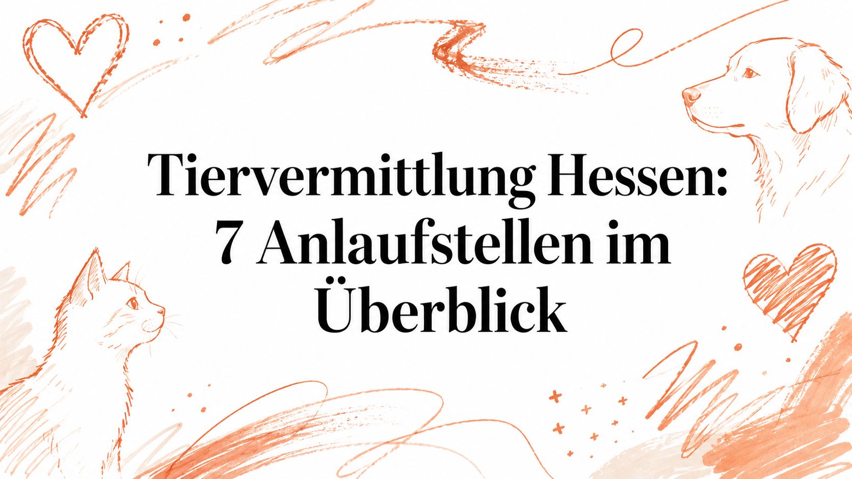 Tiervermittlung Hessen: 7 Anlaufstellen im Überblick