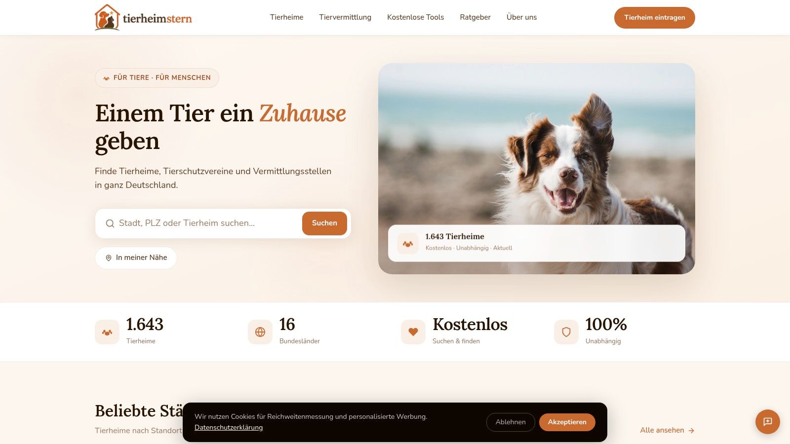 tierheimstern
