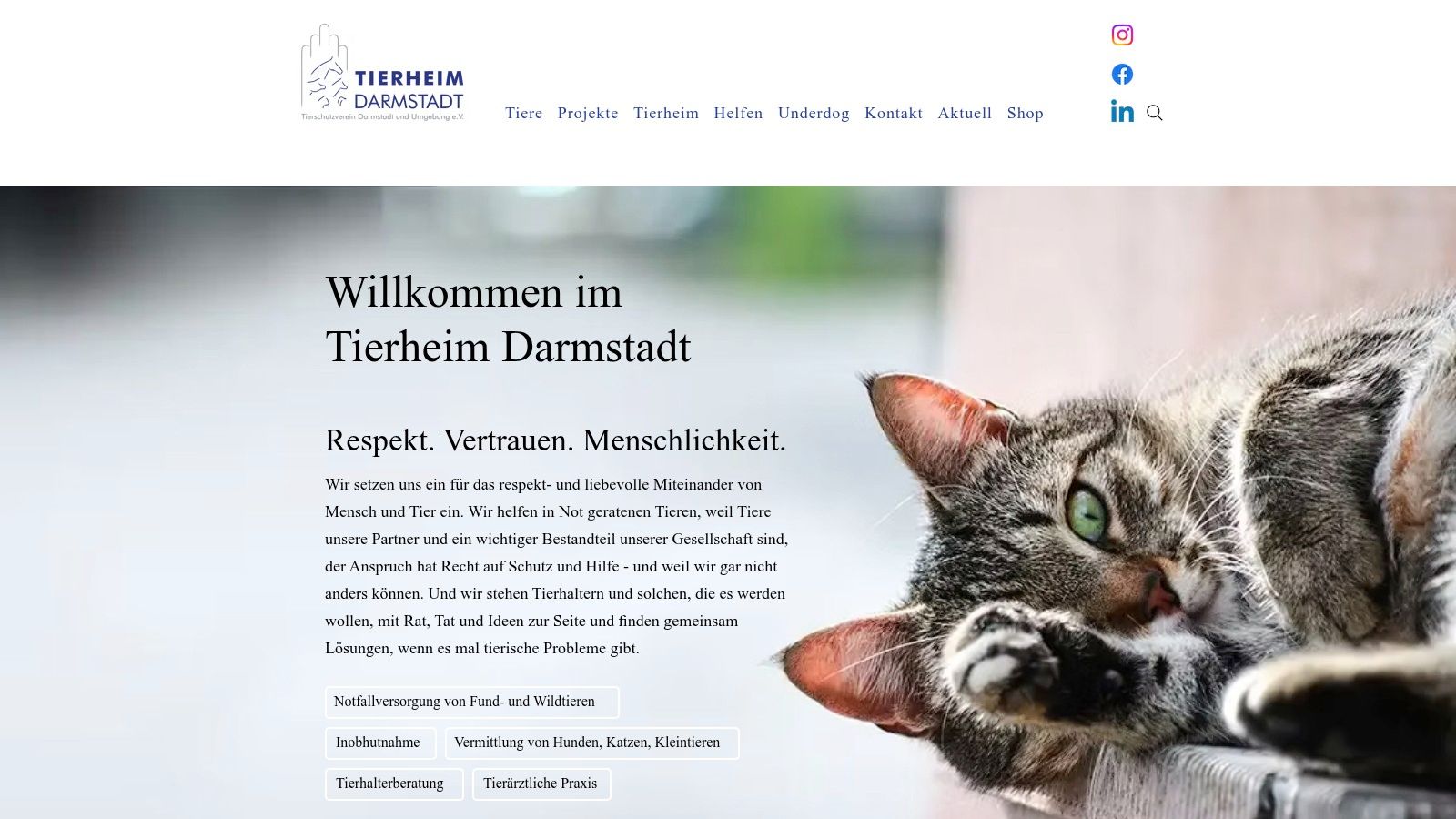 Tierheim Darmstadt – Tierschutzverein Darmstadt und Umgebung e.V.