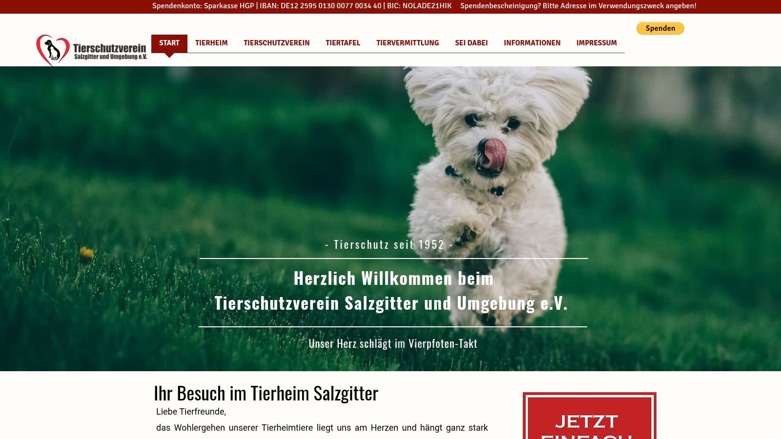 Tierheim Salzgitter – Tierschutzverein Salzgitter und Umgebung e.V.