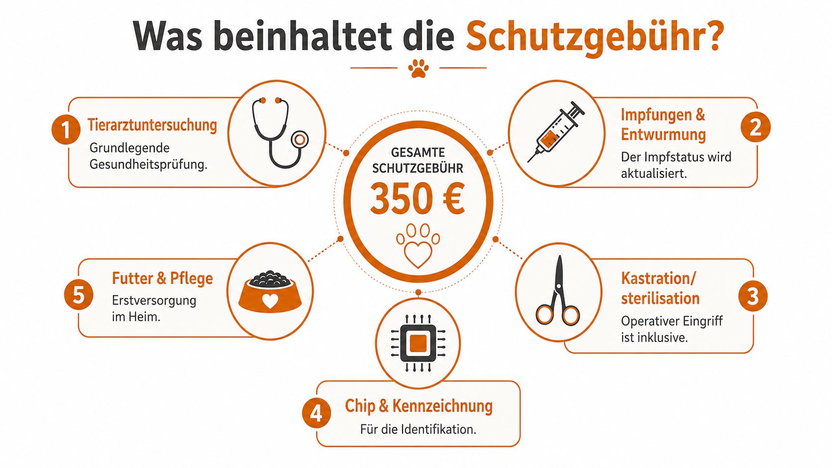 Eine Infografik erklärt, dass die Schutzgebühr von 350 Euro medizinische Untersuchungen, Impfungen, Kastration, Kennzeichnung und erste Verpflegung beinhaltet.