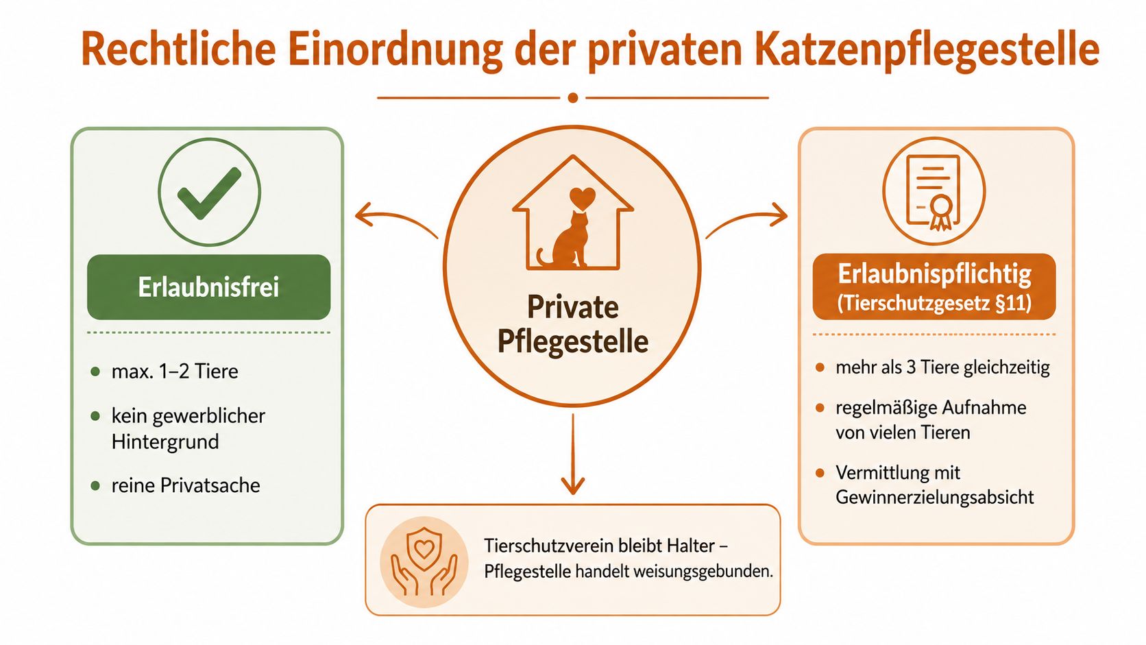 Eine Infografik zur rechtlichen Einordnung privater Katzenpflegestellen in erlaubnisfreie und erlaubnispflichtige Bereiche nach dem Tierschutzgesetz.