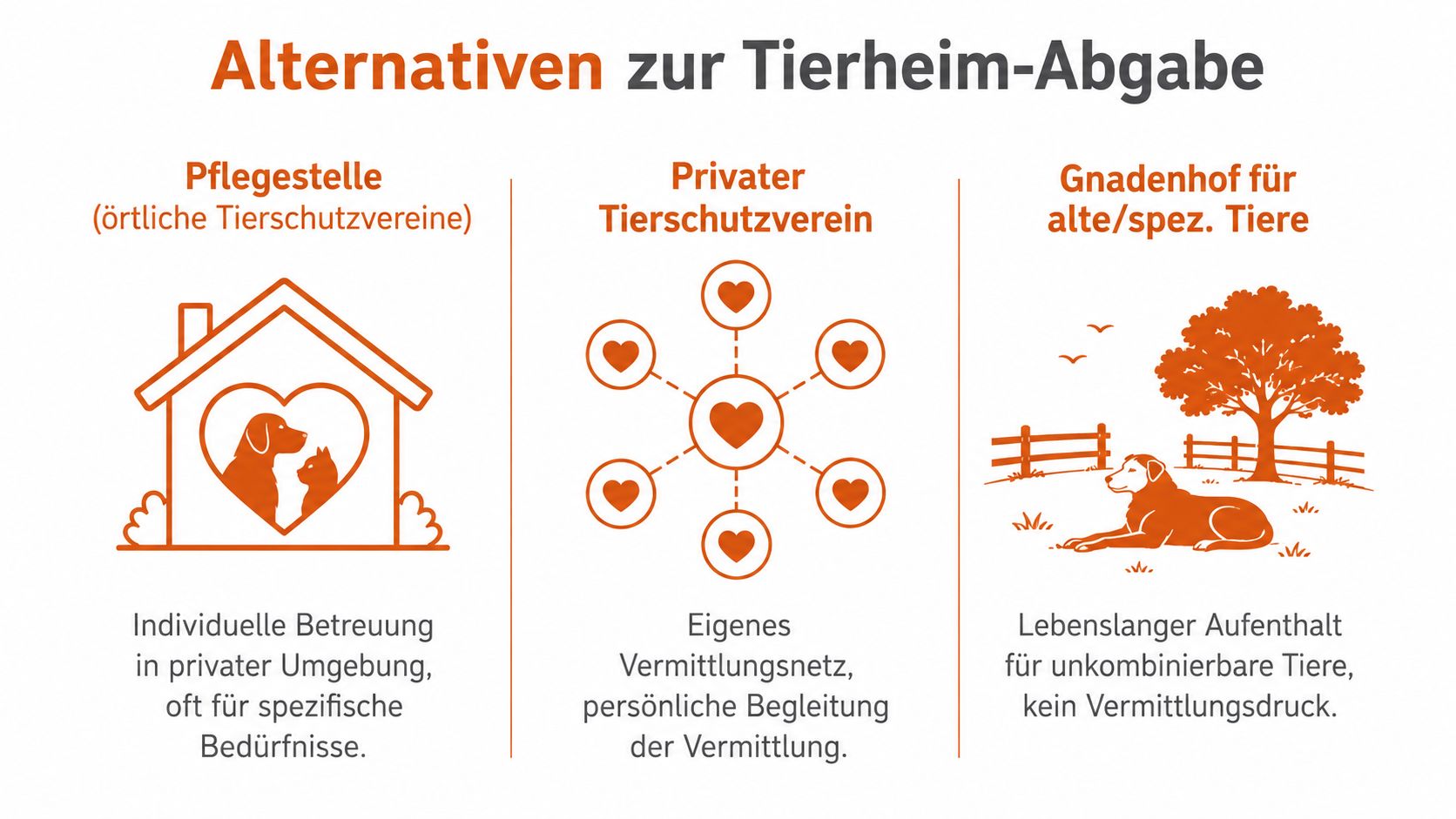 Eine Infografik mit Alternativen zur Abgabe von Tieren im Tierheim, wie Pflegestellen oder private Tierschutzvereine.