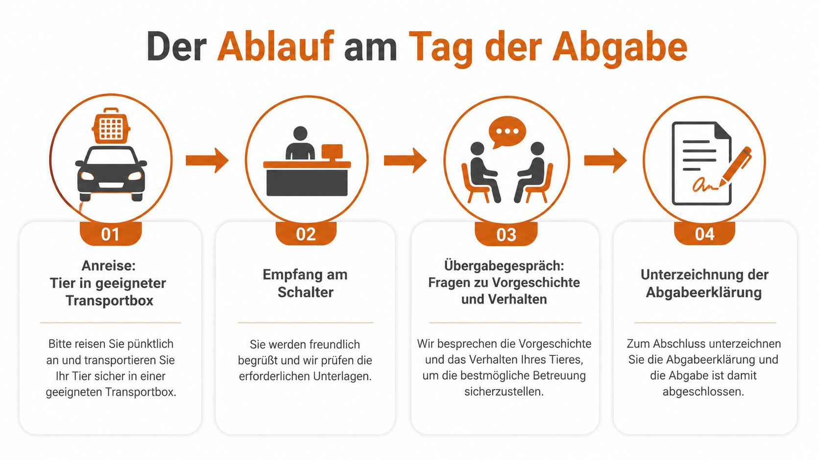 Eine Infografik, die den vierstufigen Prozess der Tierabgabe im Tierheim von der Anreise bis zur Unterschrift erläutert.